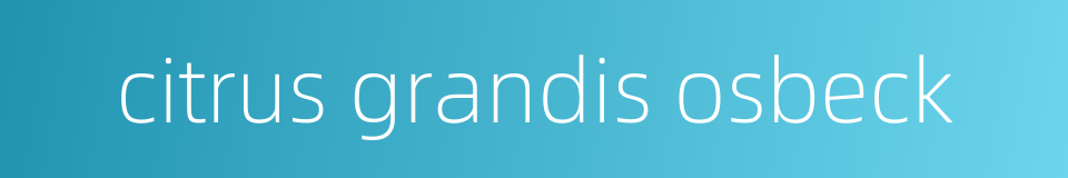 citrus grandis osbeck的同义词