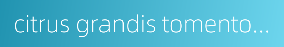 citrus grandis tomentosa的同义词