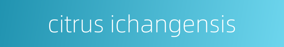 citrus ichangensis的同义词