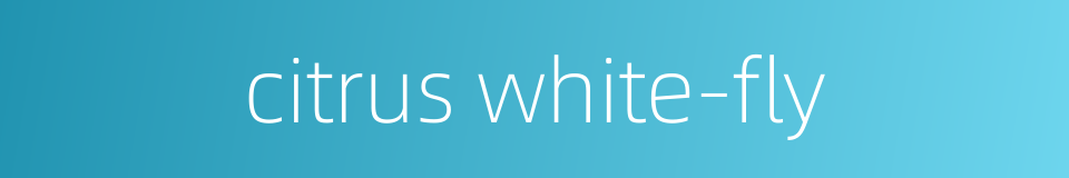 citrus white-fly的同义词
