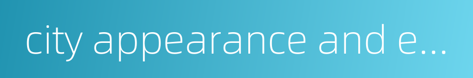 city appearance and environmental sanitation的同义词