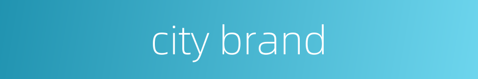 city brand的同义词