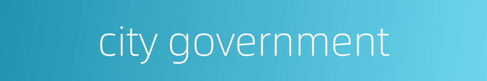 city government的同义词