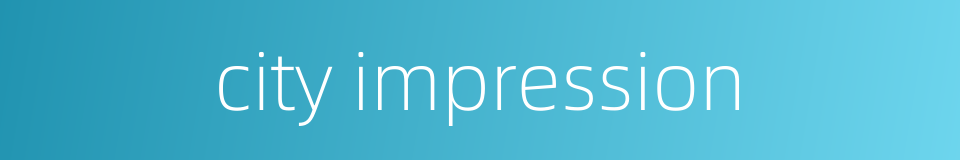 city impression的同义词