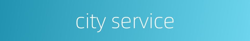 city service的同义词
