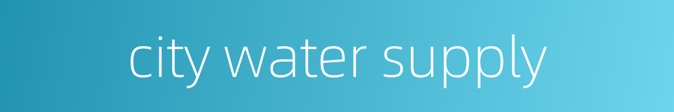 city water supply的同义词
