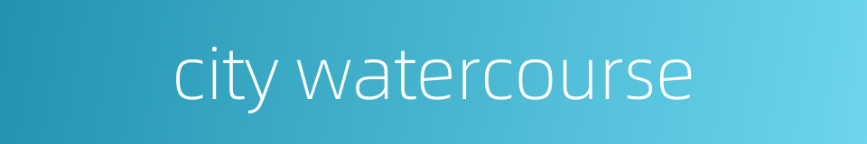city watercourse的同义词