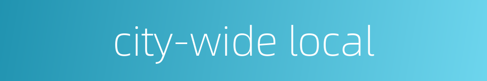 city-wide local的同义词