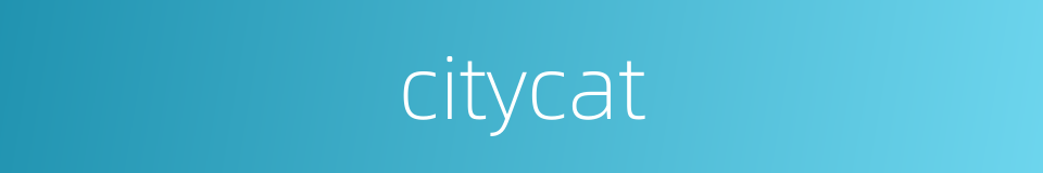 citycat的同义词