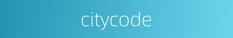 citycode的同义词