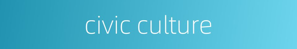 civic culture的同义词
