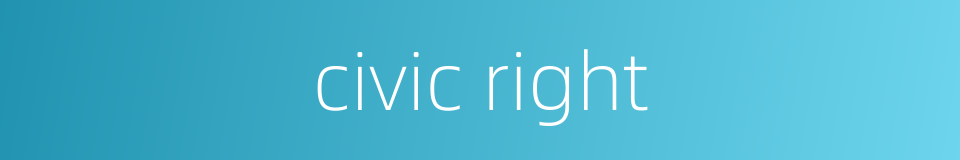 civic right的同义词
