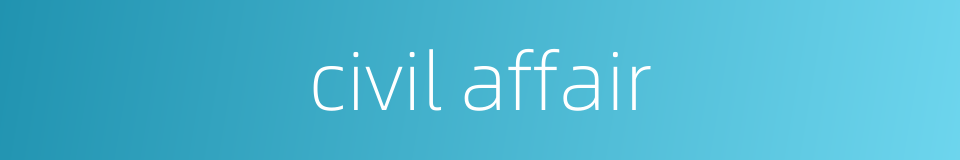 civil affair的同义词