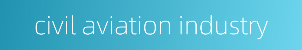 civil aviation industry的同义词