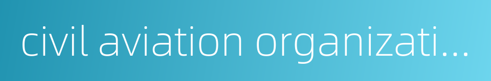 civil aviation organization的同义词