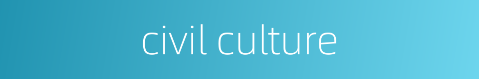civil culture的同义词