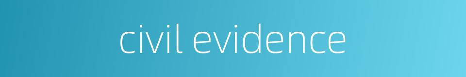 civil evidence的同义词