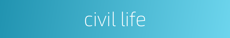 civil life的同义词