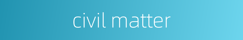 civil matter的同义词