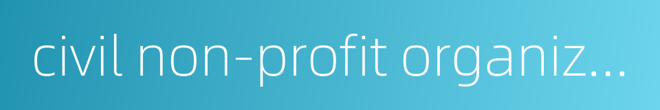 civil non-profit organizations的同义词