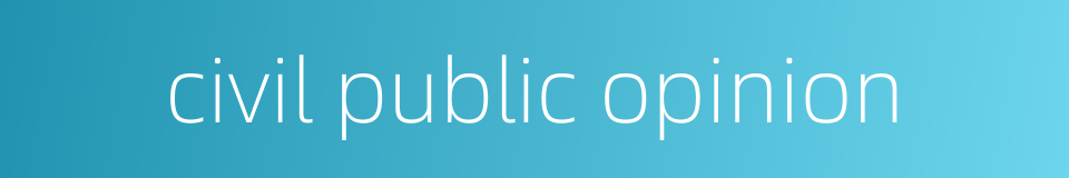 civil public opinion的同义词