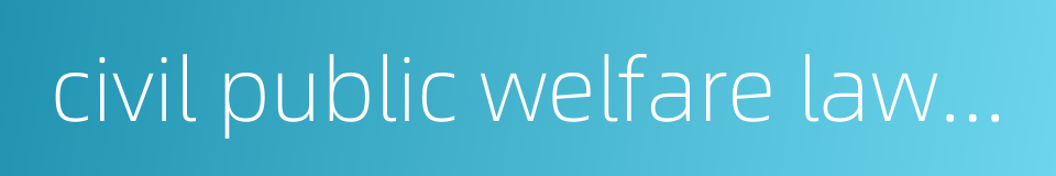 civil public welfare lawsuit的同义词