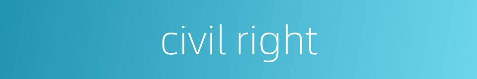 civil right的同义词