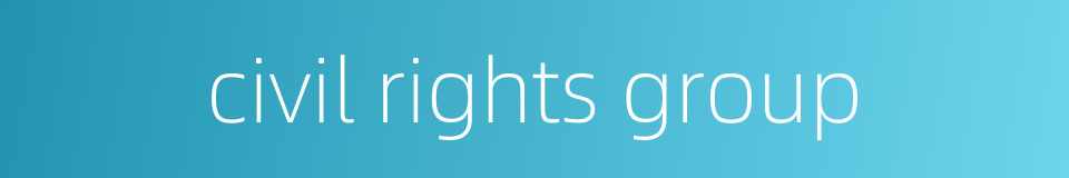 civil rights group的同义词