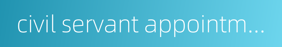 civil servant appointment system的同义词