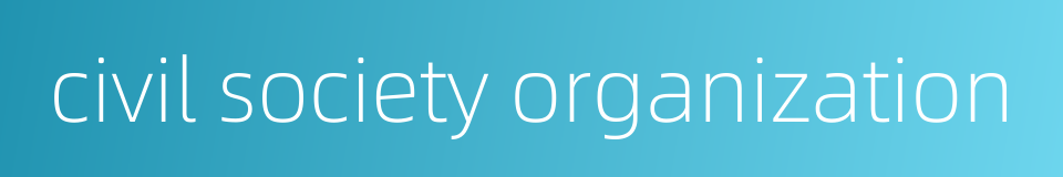civil society organization的同义词
