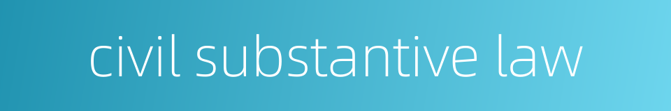 civil substantive law的同义词