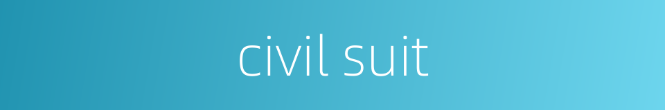 civil suit的同义词