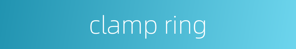clamp ring的同义词