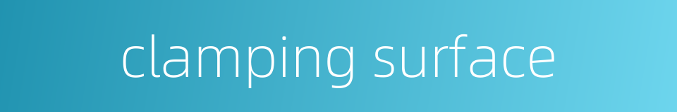 clamping surface的同义词