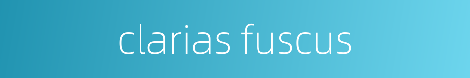 clarias fuscus的同义词