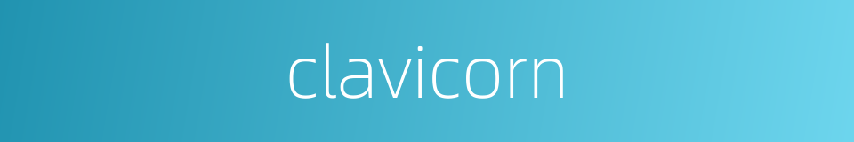 clavicorn的同义词