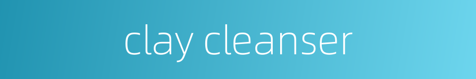 clay cleanser的同义词