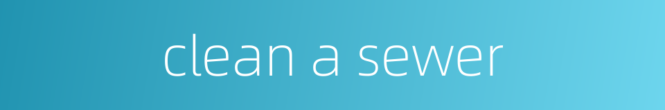 clean a sewer的同义词
