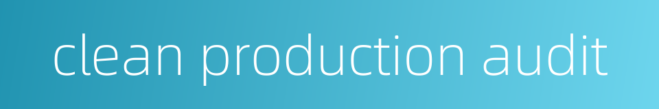 clean production audit的同义词