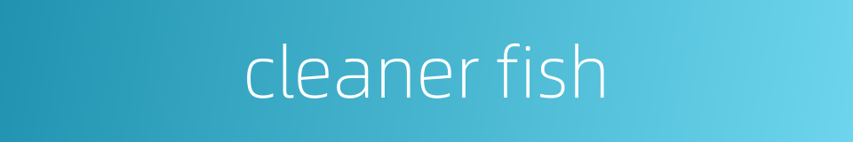 cleaner fish的同义词