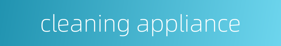 cleaning appliance的同义词