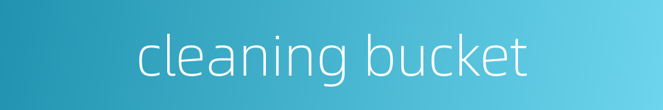 cleaning bucket的同义词