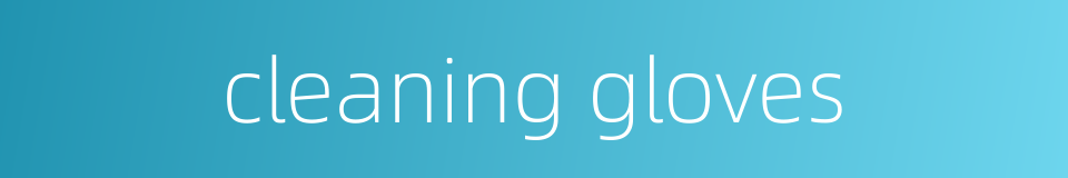 cleaning gloves的同义词