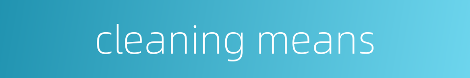 cleaning means的同义词