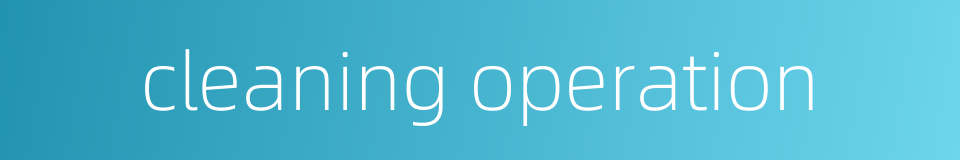 cleaning operation的同义词