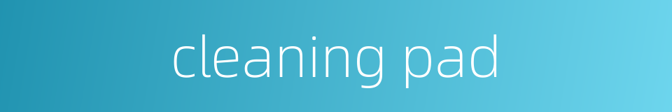 cleaning pad的同义词