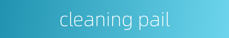cleaning pail的同义词