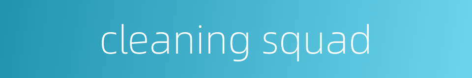 cleaning squad的同义词