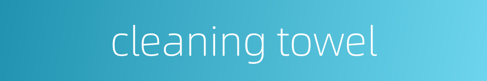 cleaning towel的同义词