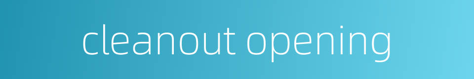cleanout opening的同义词